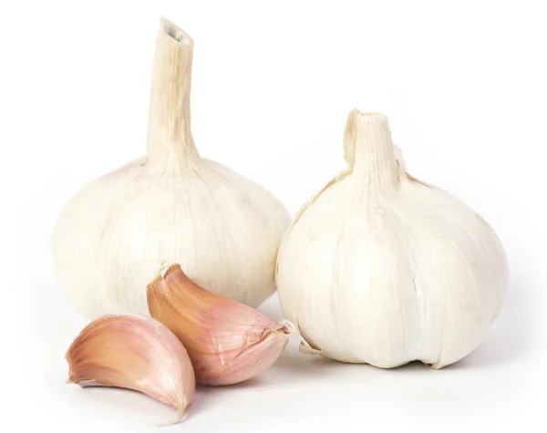 Fresh garlic isolated on white background — Stock Image Fresh garlic isolated on white background Royalty Free Stock Photos