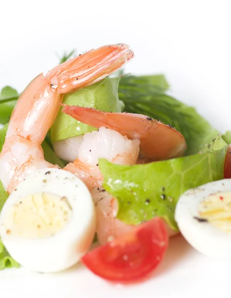 Tasty shrimps with tomatoes and eggs — Stock Photo, Image