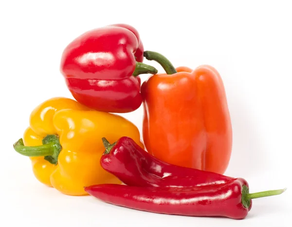 Paprika a chladno — Stock fotografie