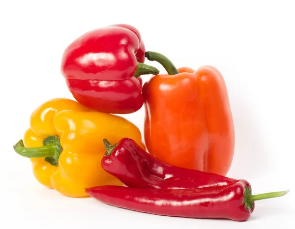 Paprika och kyligt — Stockfoto