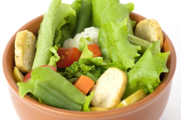 Ensalada de verduras — Foto de Stock