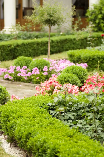 Garden — Stock Photo, Image