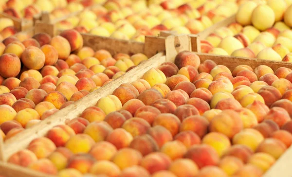 Tasty fresh peach — Stock Photo, Image