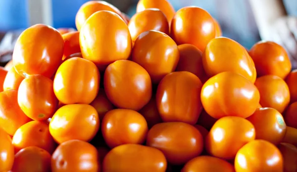 Tomates laranja maduros — Fotografia de Stock