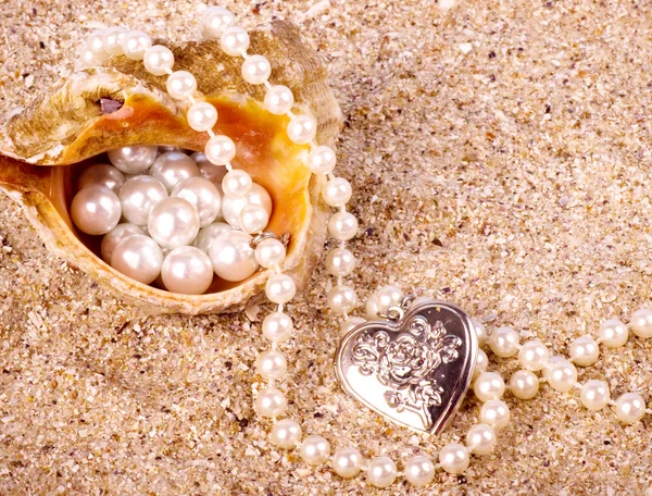 Beautiful exotic shell and pearl — Stock Photo, Image