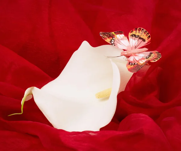 White lilly and colored butterfly on a red texture — Stock Photo, Image