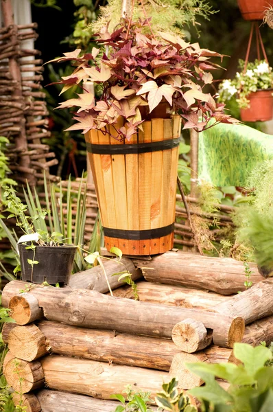 Vintage wooden well and wooden bucket — Stock Photo, Image