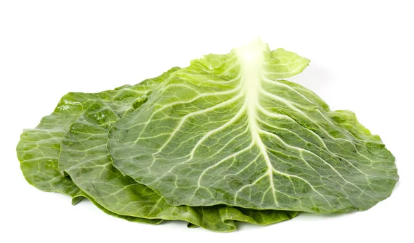 Lettuce — Stock Photo, Image