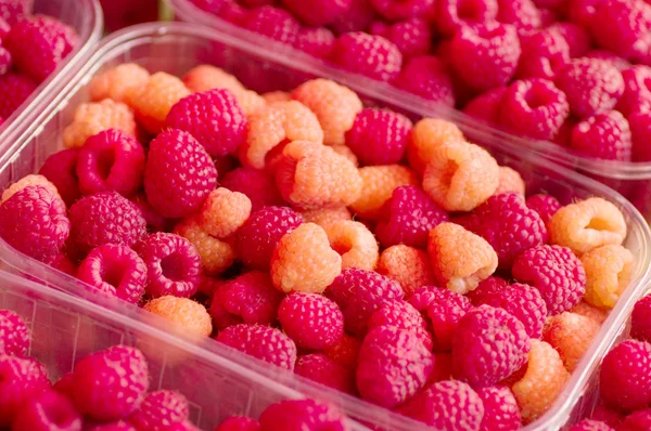 Red fresh raspberry background — Stock Photo, Image