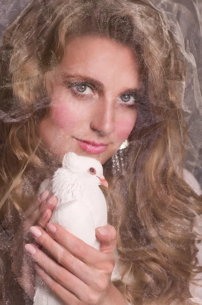 Vacker kvinna med vit duva på mörk bakgrund — Stockfoto