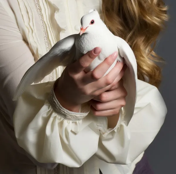 Hermosa mujer con paloma blanca sobre fondo oscuro —  Fotos de Stock