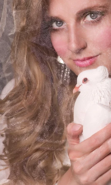 Bella donna con colomba bianca su sfondo scuro — Foto Stock