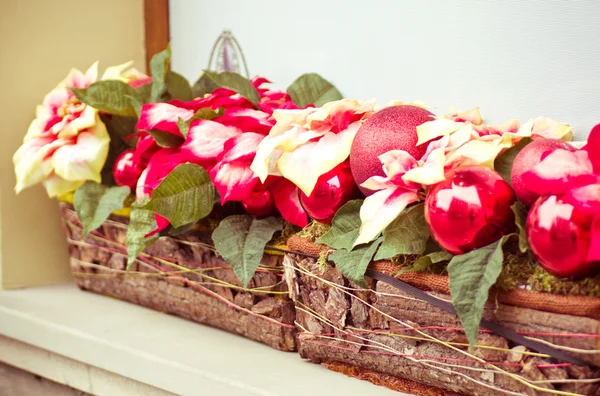 Flores rojas en una maceta de ventana — Foto de Stock