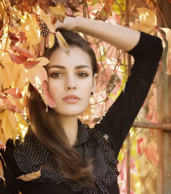 sonbahar bahçe içinde güzel bir kız