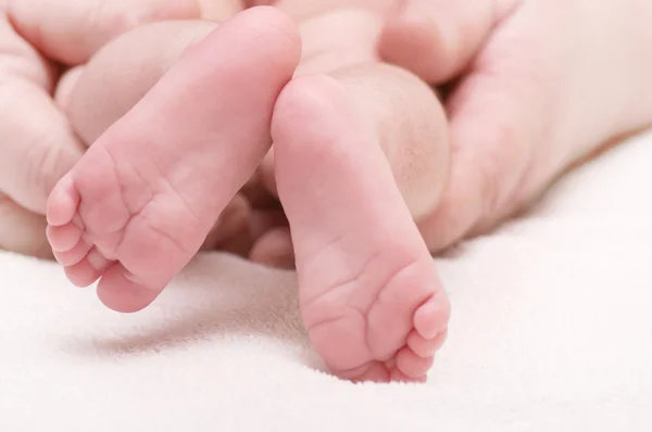 Bebé recién nacido pies —  Fotos de Stock