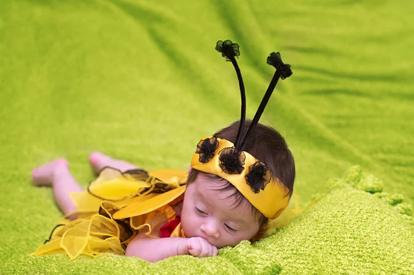 Honey bee baby på grön bakgrund — Stockfoto
