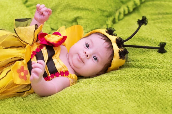 Honey Bee Baby на зеленом фоне — стоковое фото