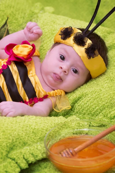 Honey Bee Baby on green background — Stock Photo, Image