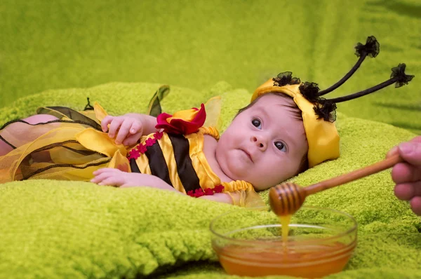 Honey Bee Baby on green background — Stock Photo, Image