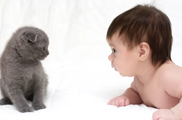 Niedliche Baby-Mädchen mit Katze Haustier — Stockfoto