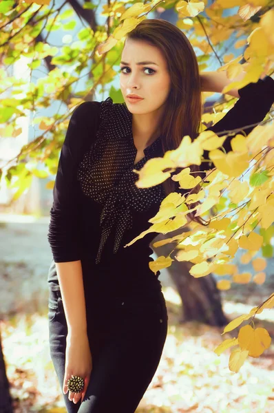 Beautiful girl in autumn garden — Zdjęcie stockowe