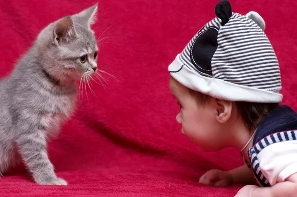 Mignon bébé fille avec chat animal de compagnie — Photo