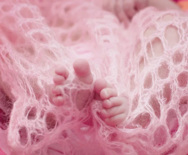 Baby feet — Stock Photo, Image