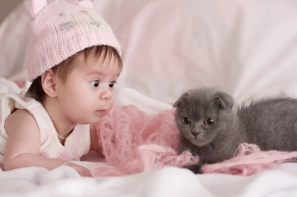 Chat Bebe Images Libres De Droit Photos De Chat Bebe Depositphotos