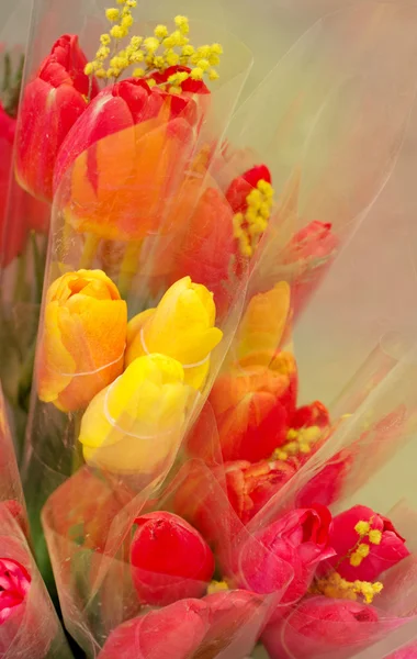 Bouquet de tulipes — Photo