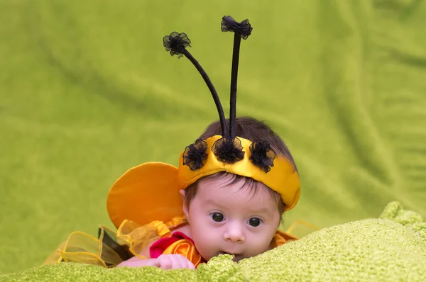 Honey bee baba zöld háttér — Stock Fotó