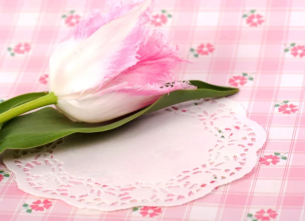 Beautiful spring flowers with banner add — Stock Photo, Image