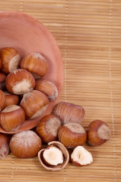 Hazelnuts in clay bowl — Stock Photo, Image