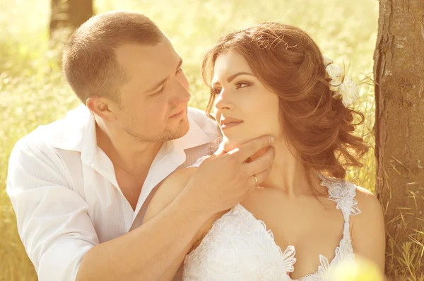 Recém-casados em grama alta — Fotografia de Stock