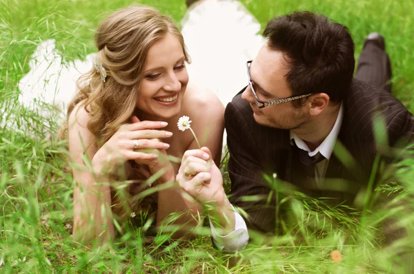 Pasgetrouwden in hoog gras — Stockfoto