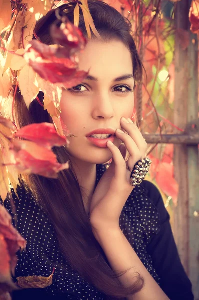 Chica en el jardín de otoño —  Fotos de Stock