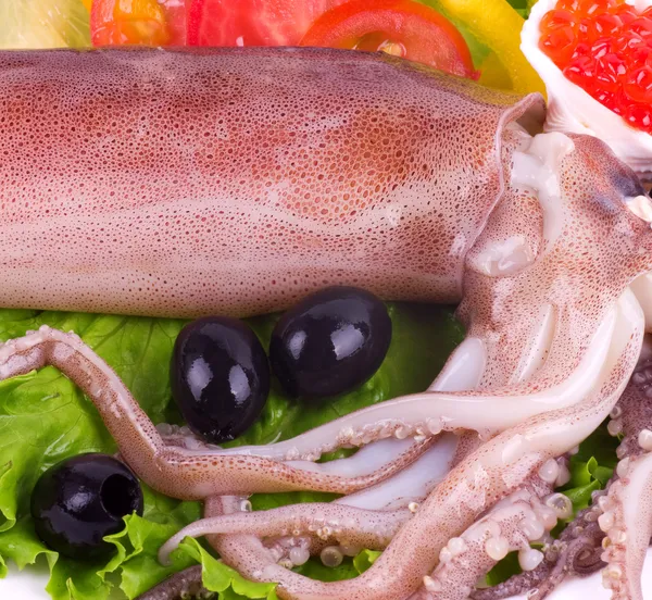 Raw squid — Stock Photo, Image