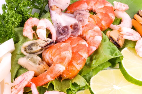 Cocktail of seafood — Stock Photo, Image