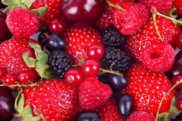 Gelee mit Beeren — Stockfoto