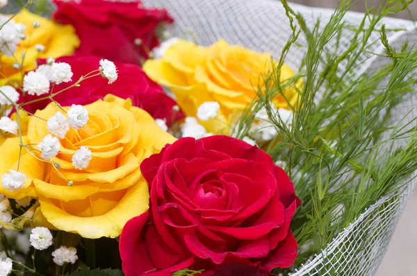 Красные и желтые розы — стоковое фото