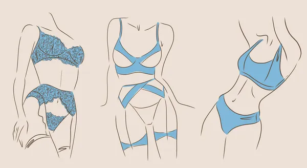 Mooie Vrouw Lingerie Ondergoed Isoleren Achtergrond Vector — Stockvector