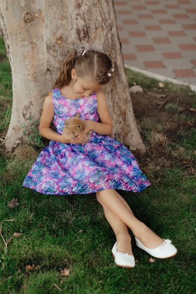 Little Girl Sitting Green Grass Rabbit Cute Child Girl Holding — Foto Stock