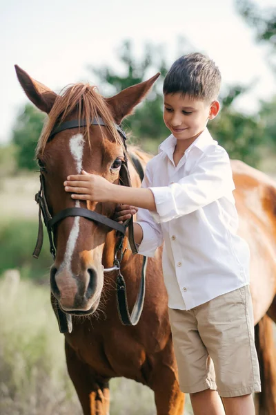 Anak Laki Laki Dengan Kuda Padang Rumput Yang Indah Dinyalakan — Stok Foto