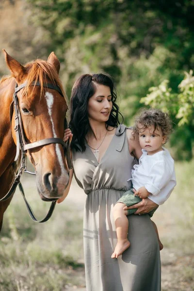 Família Com Seu Cavalo Prado Encantador Iluminado Pela Luz Quente — Fotografia de Stock