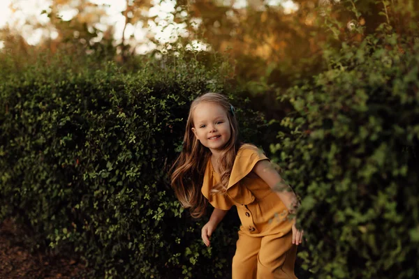 Retrato Close Uma Menina Campo Verão Trigo Feliz Conceito Infância — Fotografia de Stock