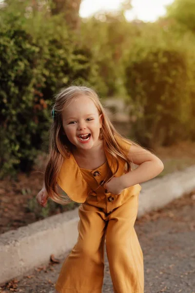 麦田里一个小女孩的画像 快乐童年的概念 远足和人的概念 快乐的家庭步行 — 图库照片