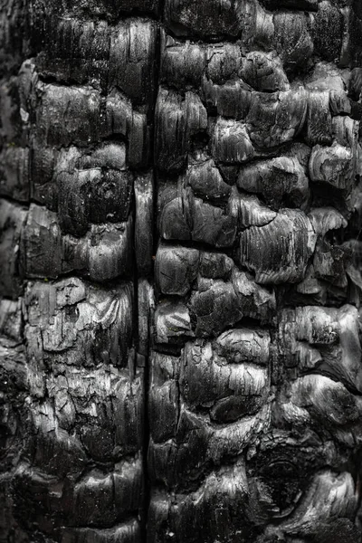 焼き木の質感のパターン化された表面質感 — ストック写真