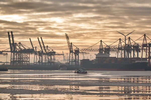 Hamburg harbor in sunrise — Stock Photo, Image
