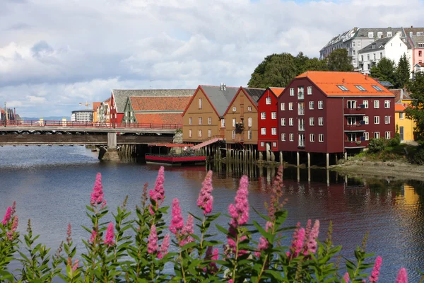 Trondheim budynków — Zdjęcie stockowe