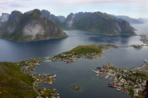 Reine aves vista — Fotografia de Stock