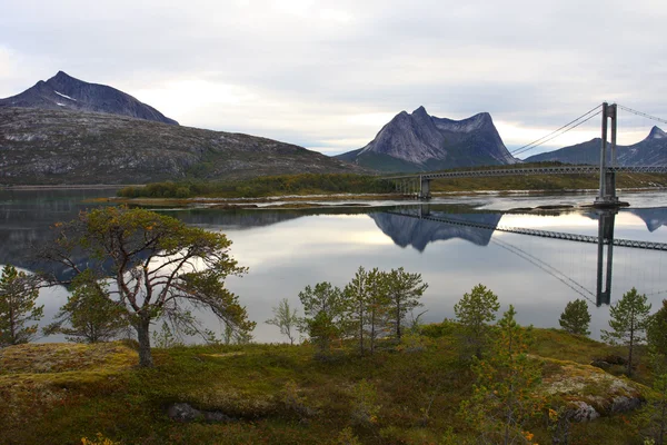 Hängbro — Stockfoto